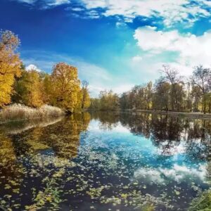 lazienki-park-warsaw-things-to-do-in-warsaw