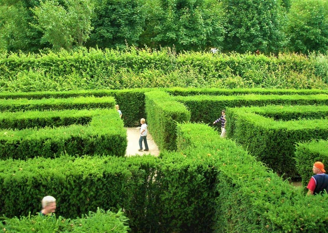 Trip image