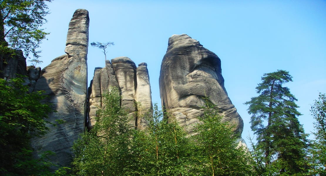 Trip image